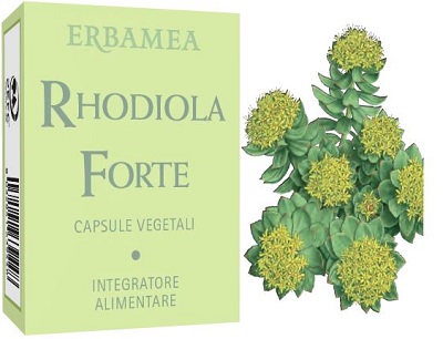 RHODIOLA FORTE 24 CAPSULE - Farmapanda Srl