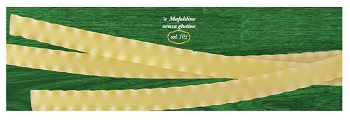 E MAFALDINE 500 G - Farmapanda Srl