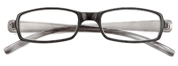 OCCHIALE DA LETTURA PREMONTATO TWINS SILVER DOUBLE +1,00 - Farmapanda Srl