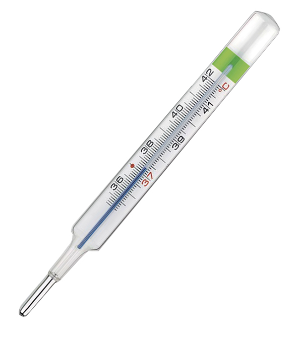 COLPHARMA THERMO GREEN PLUS TERMOMETRO - Farmapanda Srl