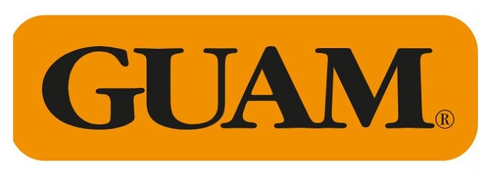 GUAM PANTY VENTRE PIATTO SNELLENTE L-XL 46-50 - Farmapanda Srl