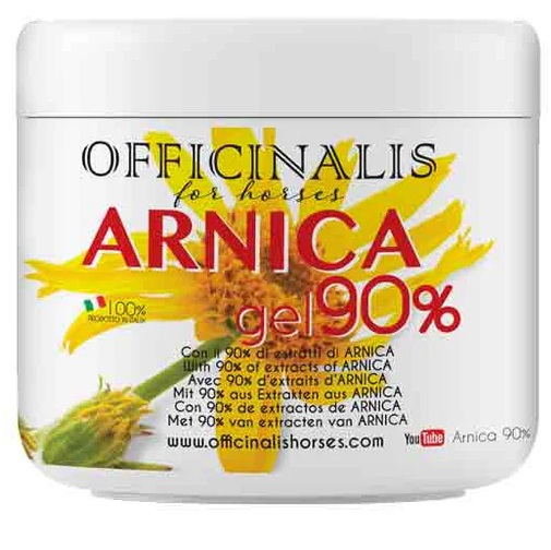 ARNICA GEL 90% 500 ML - Farmapanda Srl