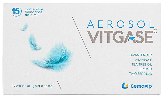 VITGASE AEROSOL 15 FLACONCINI 5 ML - Farmapanda Srl
