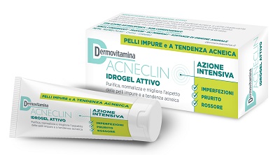 DERMOVITAMINA ACNECLIN IDROGEL ATTIVO AZIONE INTENSIVA 40 ML - Farmapanda Srl