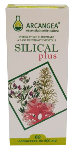 SILICAL PLUS 60 COMPRESSE - Farmapanda Srl