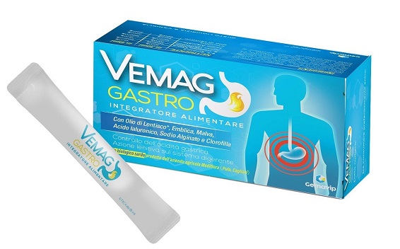 VEMAG GASTRO 20 STICK - Farmapanda Srl