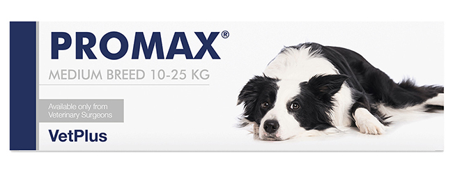 PROMAX MEDIUM BREED 18 ML - Farmapanda Srl