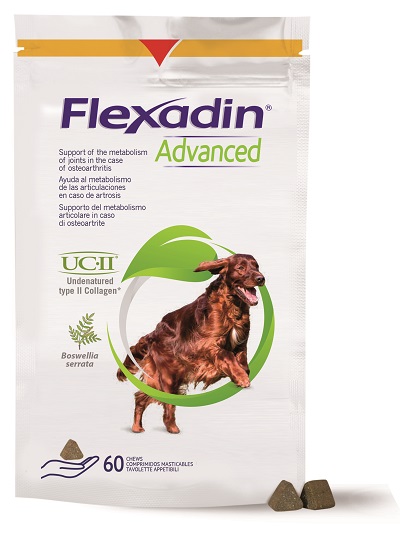 FLEXADIN ADVANCED CANE TUTTE LE TAGLIE 60 TAVOLETTE APPETIBILI - Farmapanda Srl