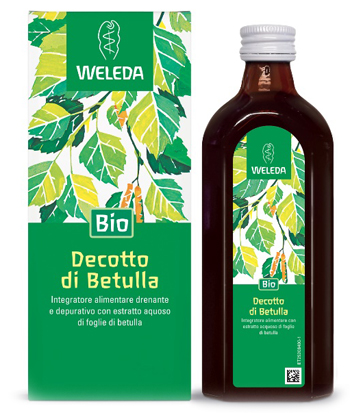 DECOTTO DI BETULLA 250 ML - Farmapanda Srl