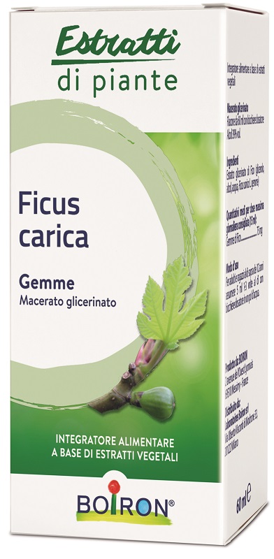 FICUS CARICA BOIRON MACERATO GLICERICO 60 ML - Farmapanda Srl