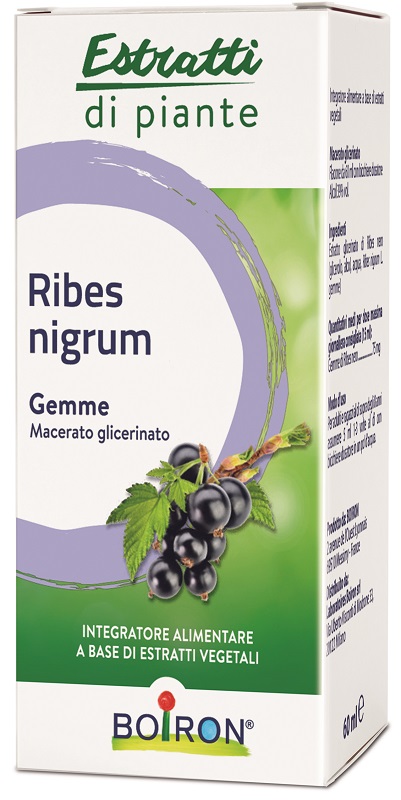 RIBES NIGRUM BOIRON MACERATO GLICERICO 60 ML - Farmapanda Srl