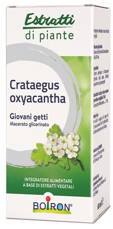 CRATAEGUS BOIRON MACERATO GLICERICO 60 ML - Farmapanda Srl