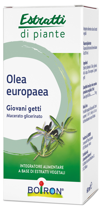 OLEA EUROPAEA BOIRON MACERATO GLICERICO 60 ML - Farmapanda Srl