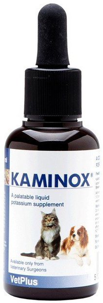 KAMINOX SCIROPPO 60 ML - Farmapanda Srl