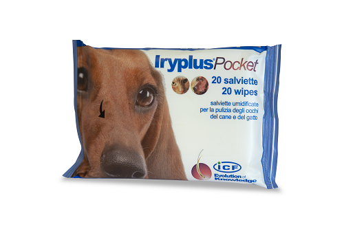 IRYPLUS POCKET SALVIETTINE 20 PEZZI - Farmapanda Srl