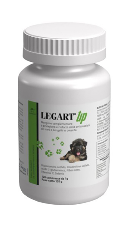 LEGART UP 120 COMPRESSE - Farmapanda Srl