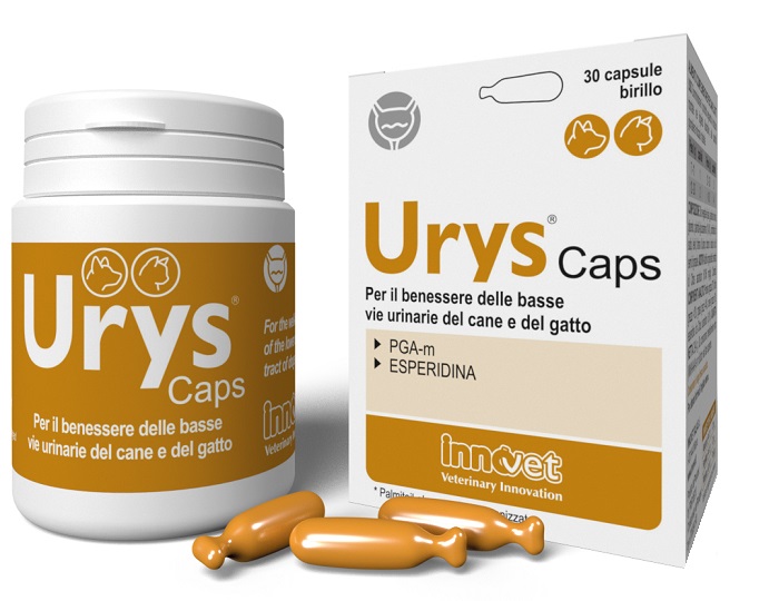URYS CAPS 30 CAPSULE - Farmapanda Srl