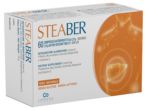 STEABER 60 COMPRESSE GASTROPROTETTE - Farmapanda Srl