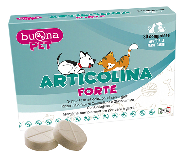 ARTICOLINA FORTE 30 COMPRESSE MASTICABILI - Farmapanda Srl