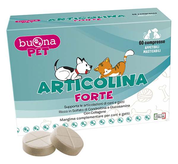 ARTICOLINA FORTE 60 COMPRESSE MASTICABILI - Farmapanda Srl