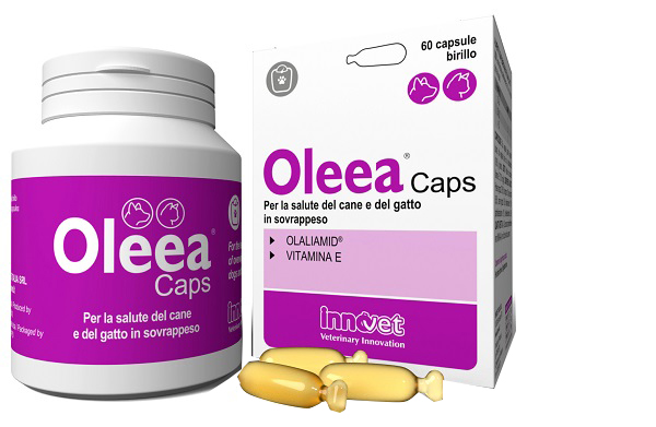 OLEEA CAPS 60 CAPSULE - Farmapanda Srl