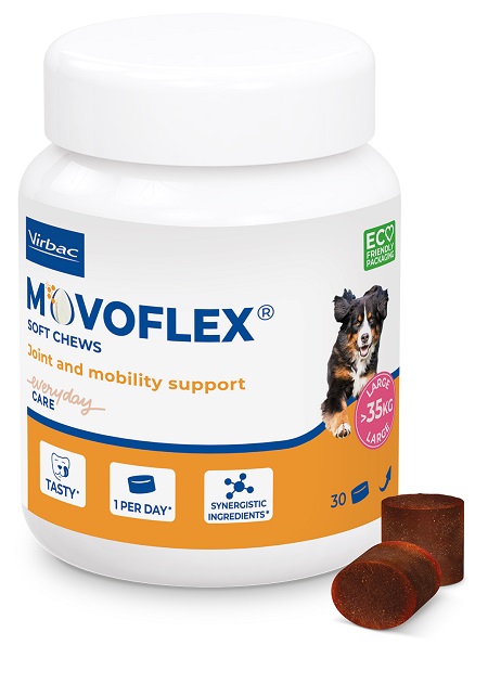 MOVOFLEX L 30 COMPRESSE MASTICABILI - Farmapanda Srl