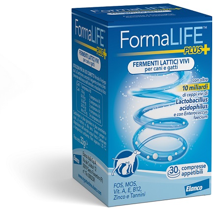 FORMALIFE PLUS FERMENTI LATTICI VIVI 30 COMPRESSE APPETIBILI - Farmapanda Srl