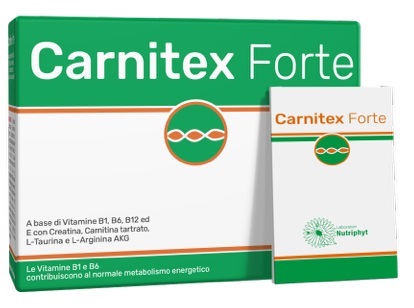 CARNITEX FORTE 14 BUSTINE - Farmapanda Srl