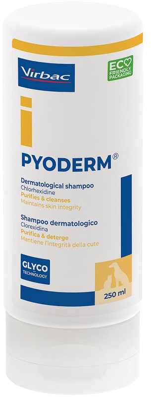 PYODERM SHAMPOO 250 ML - Farmapanda Srl